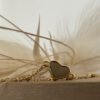 Shiny love heart anklet charm on a gold ankle chain sitting upright on a bench with a white feather faded in the background.