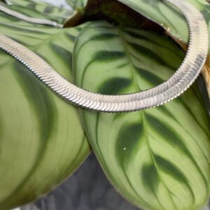 Sophisticated sterling silver snake chain anklet on a green leaf.